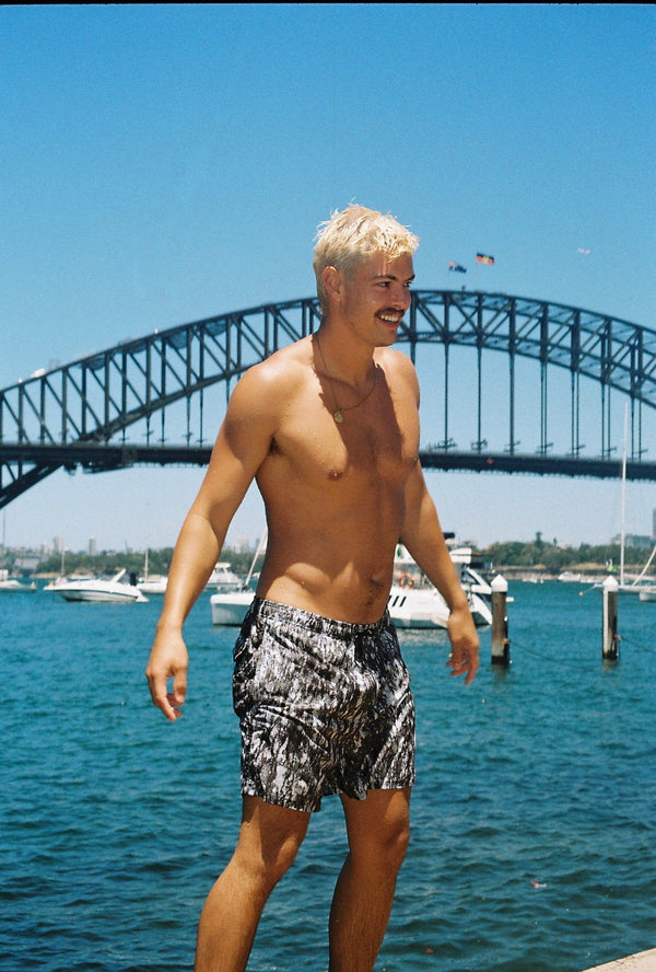 Amphibolite Beachshorts