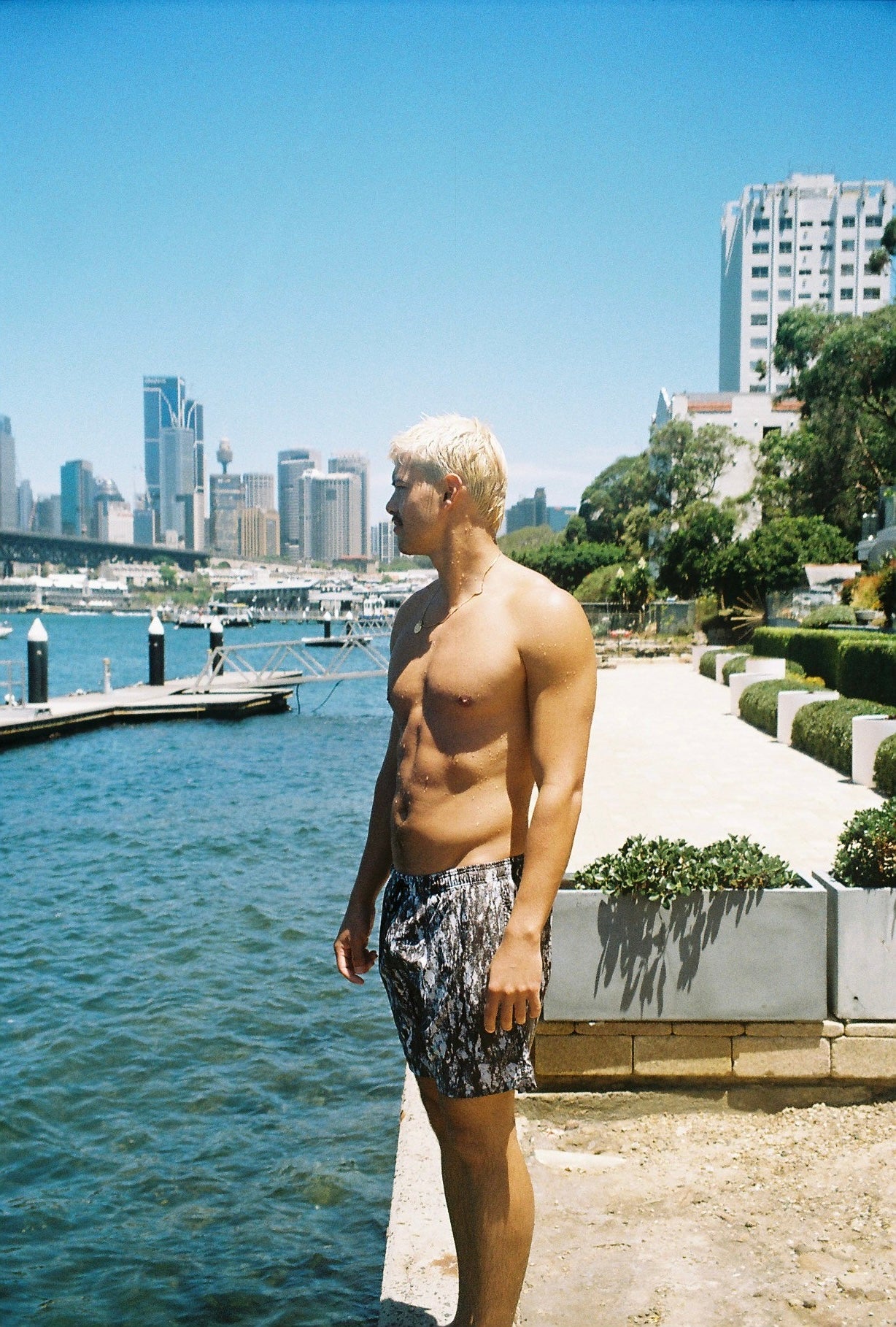 Amphibolite Beachshorts