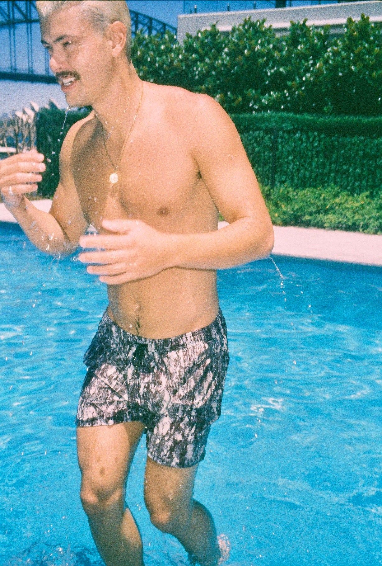 Amphibolite Beachshorts