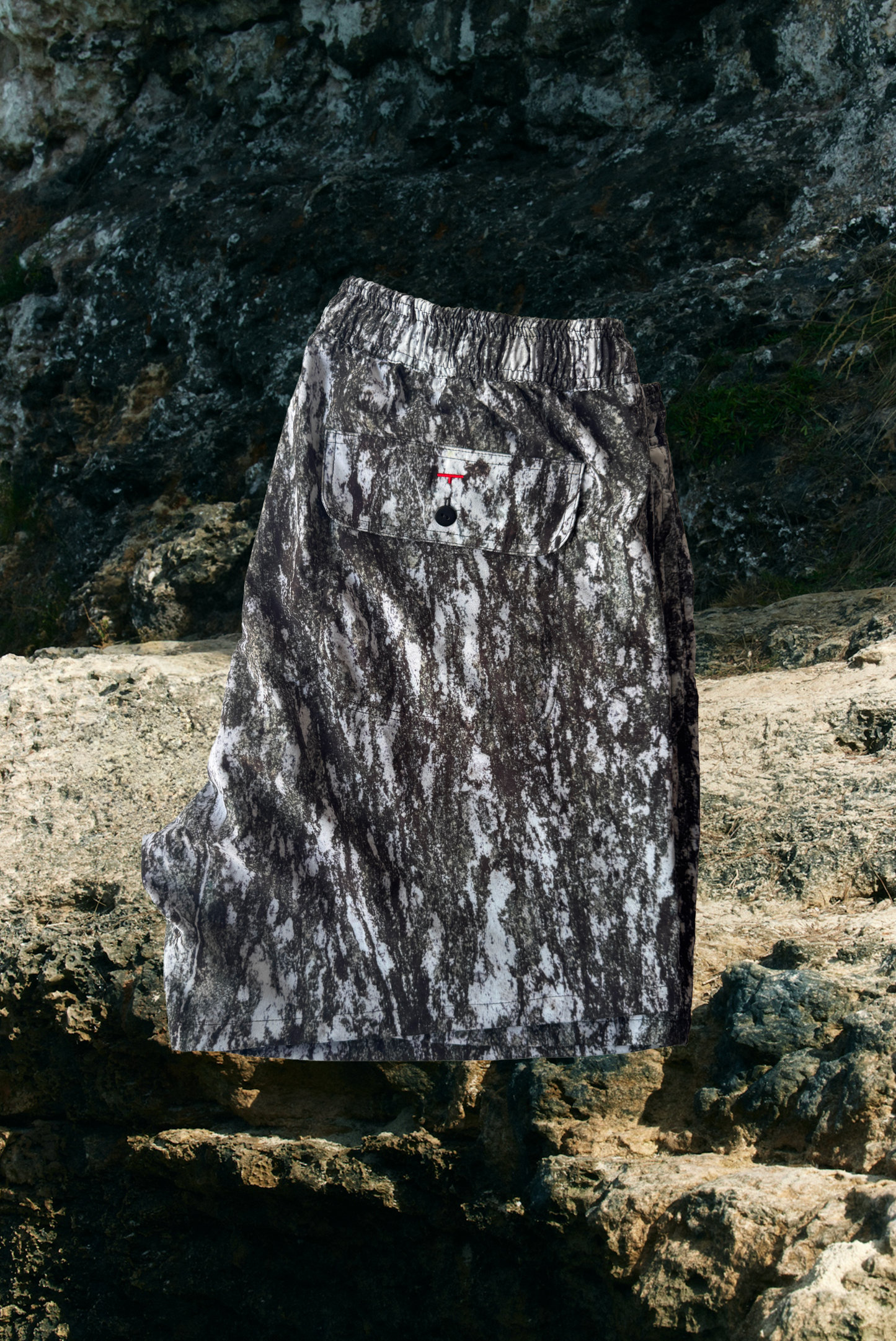 Amphibolite Beachshorts