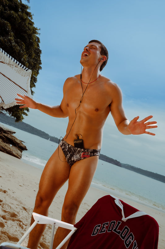 Amphibolite Beach Brief