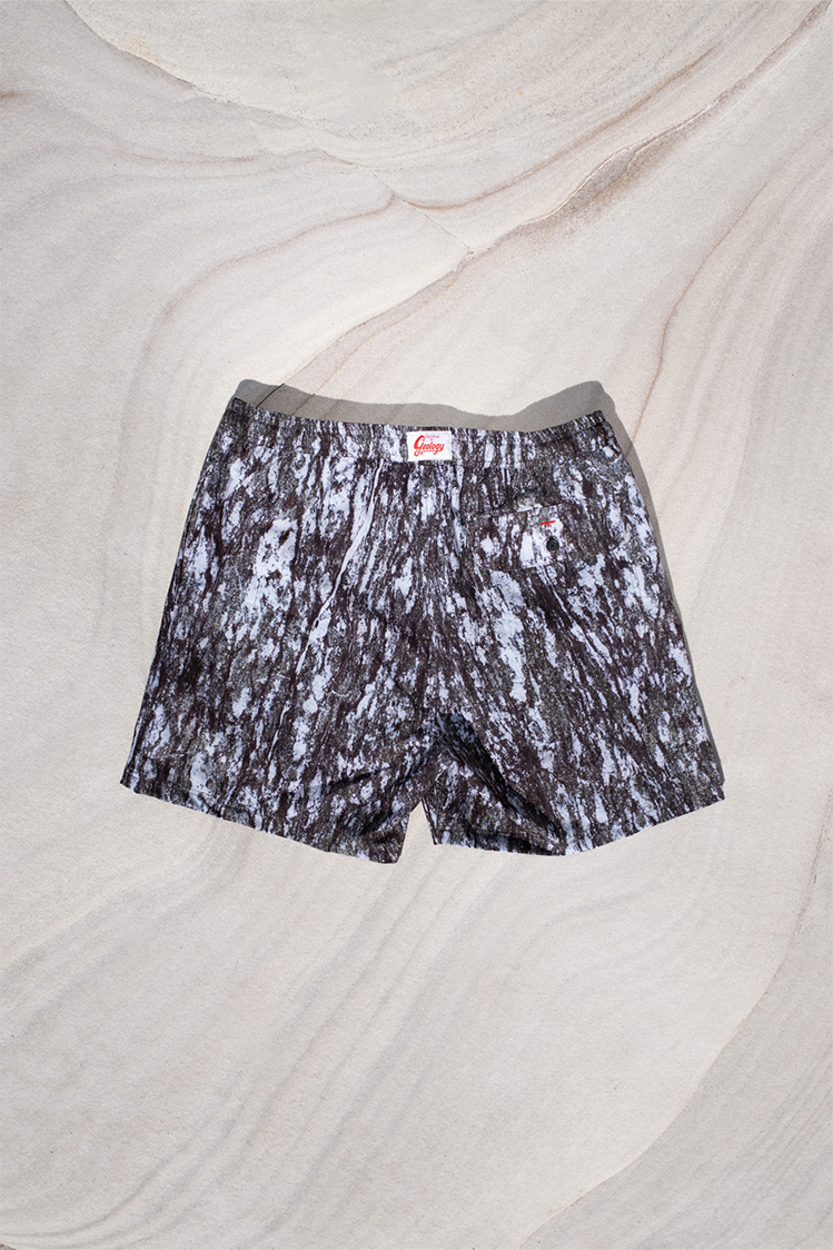 Amphibolite Beachshort