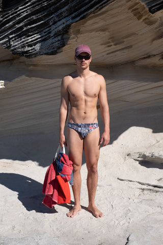 Amphibolite Beach Brief