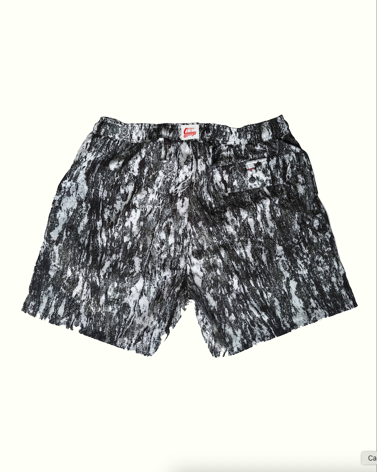 Amphibolite Beachshorts