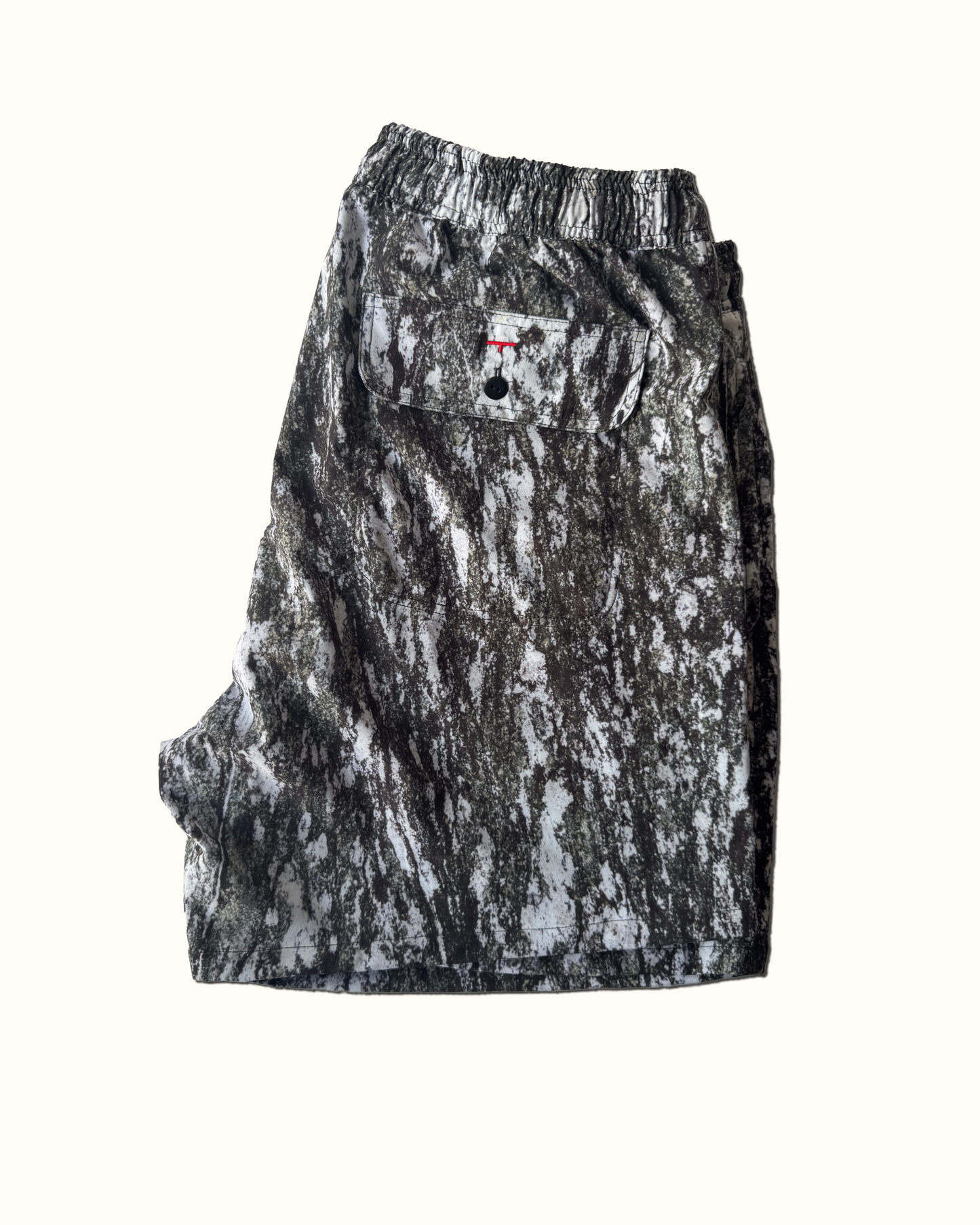 Amphibolite Beachshorts